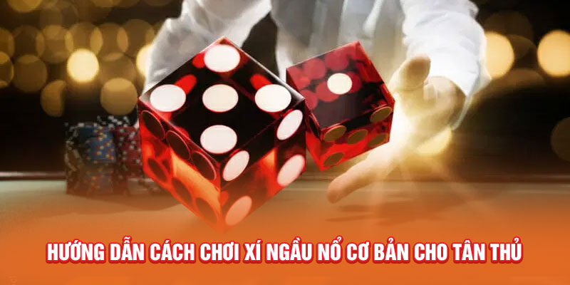 Hướng dẫn cách chơi xí ngầu nổ cơ bản cho tân thủ