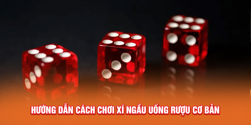 Hướng dẫn cách chơi xí ngầu uống rượu cơ bản