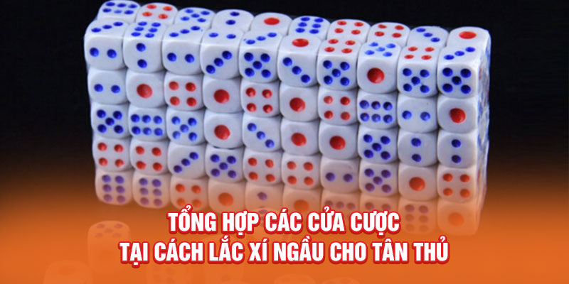 Tổng hợp các cửa cược tại cách lắc xí ngầu cho tân thủ 